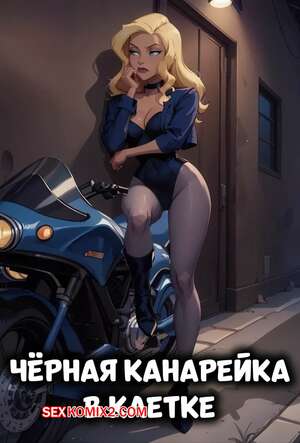Порно комикс DC. Черная канарейка в клетке. The Black Canary in the Cage. Electrickink. Порно комикс DC. Черная канарейка в клетке. The Black Canary in the Cage. Electrickink.